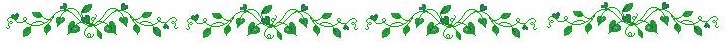 Vine Divider